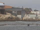 Monterey Bay 007